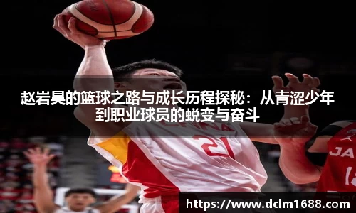 意甲免费直播在线观看高清