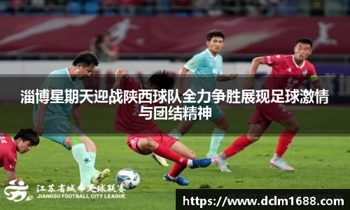 意甲直播意甲直播淄博星期天迎战陕西球队全力争胜展现足球激情与团结精神